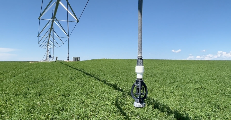 Do you understand the water curtailment issue? 